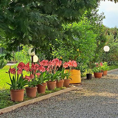 Готель Borgo Barucchella Sant'Andra Екстер'єр фото