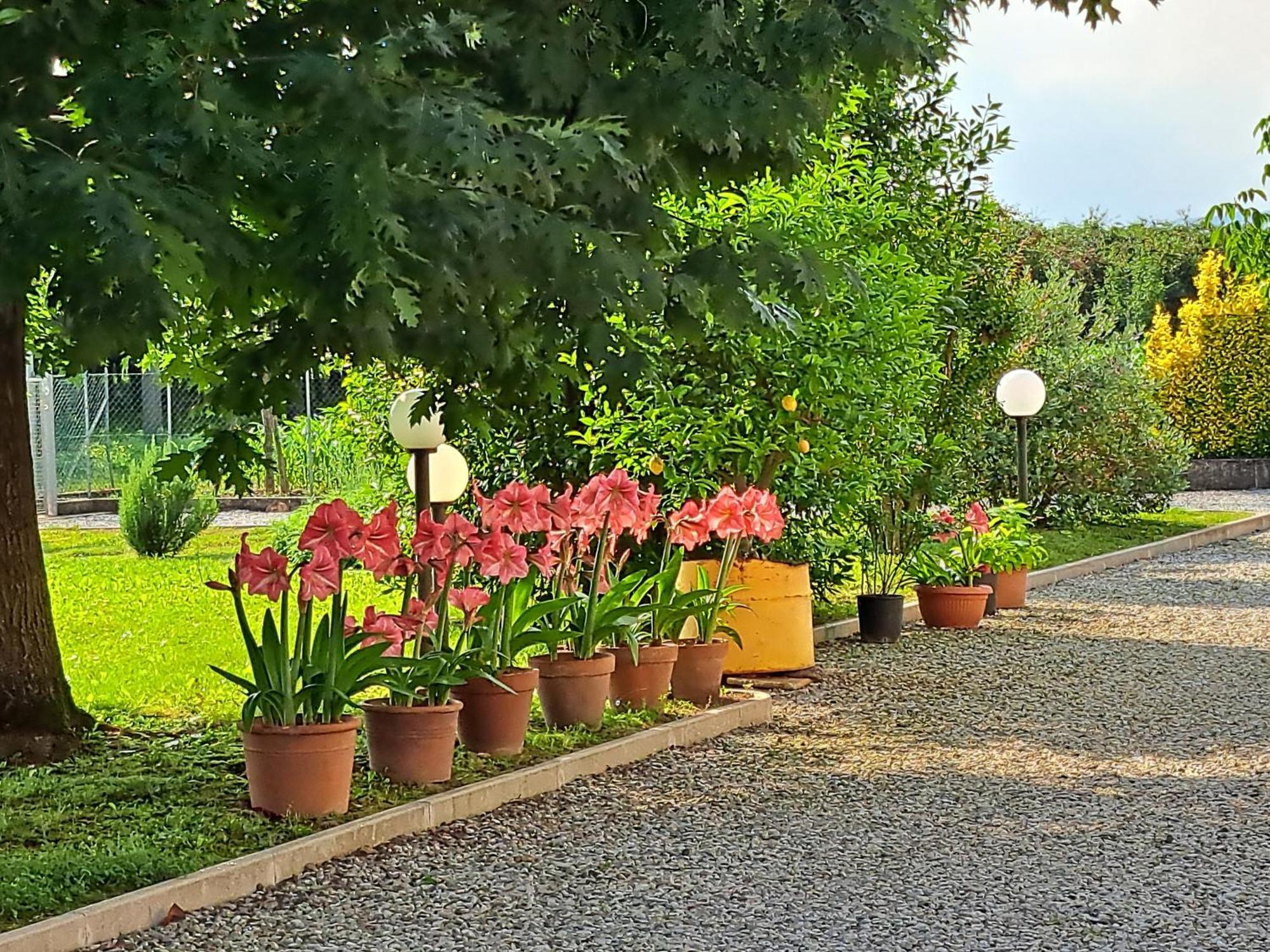 Готель Borgo Barucchella Sant'Andra Екстер'єр фото