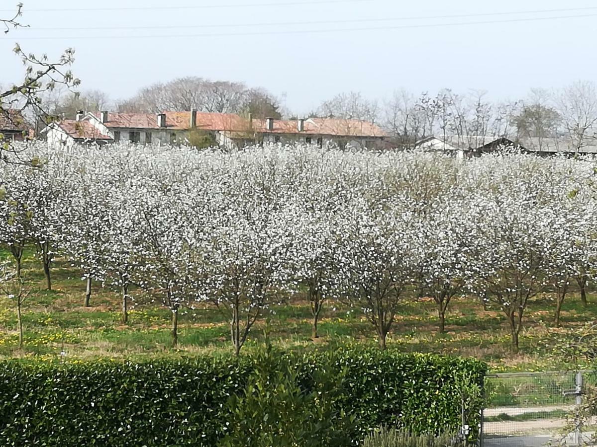 Готель Borgo Barucchella Sant'Andra Екстер'єр фото